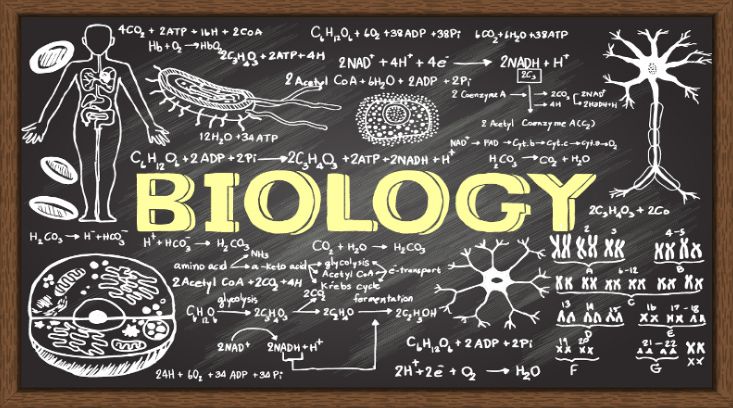 Pengertian BiologiPengetian Biologi | Fungsi, Tujuan dan Manfaat Mempelajari Ilmu Biologi 